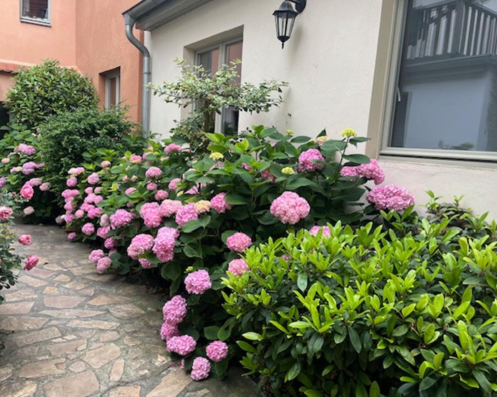 Altstadt-Quartier Stendal Bagian luar foto